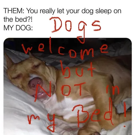 Apartamento Sweet Flat With 2 Bedrooms Croatia