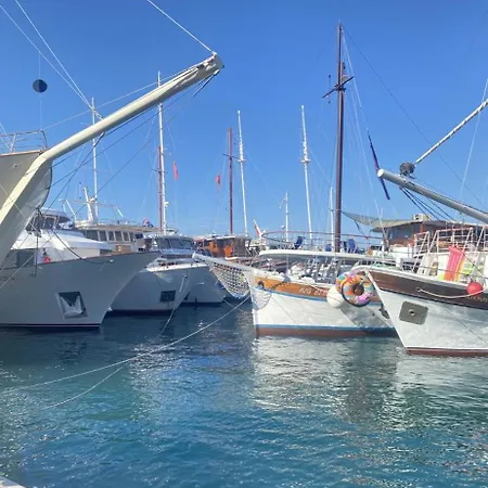 Apartment Sweet Flat With 2 Bedrooms Croatia Split